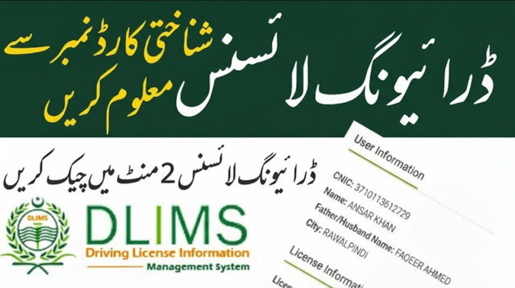 online driving license check