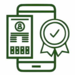 dlims punjab e license